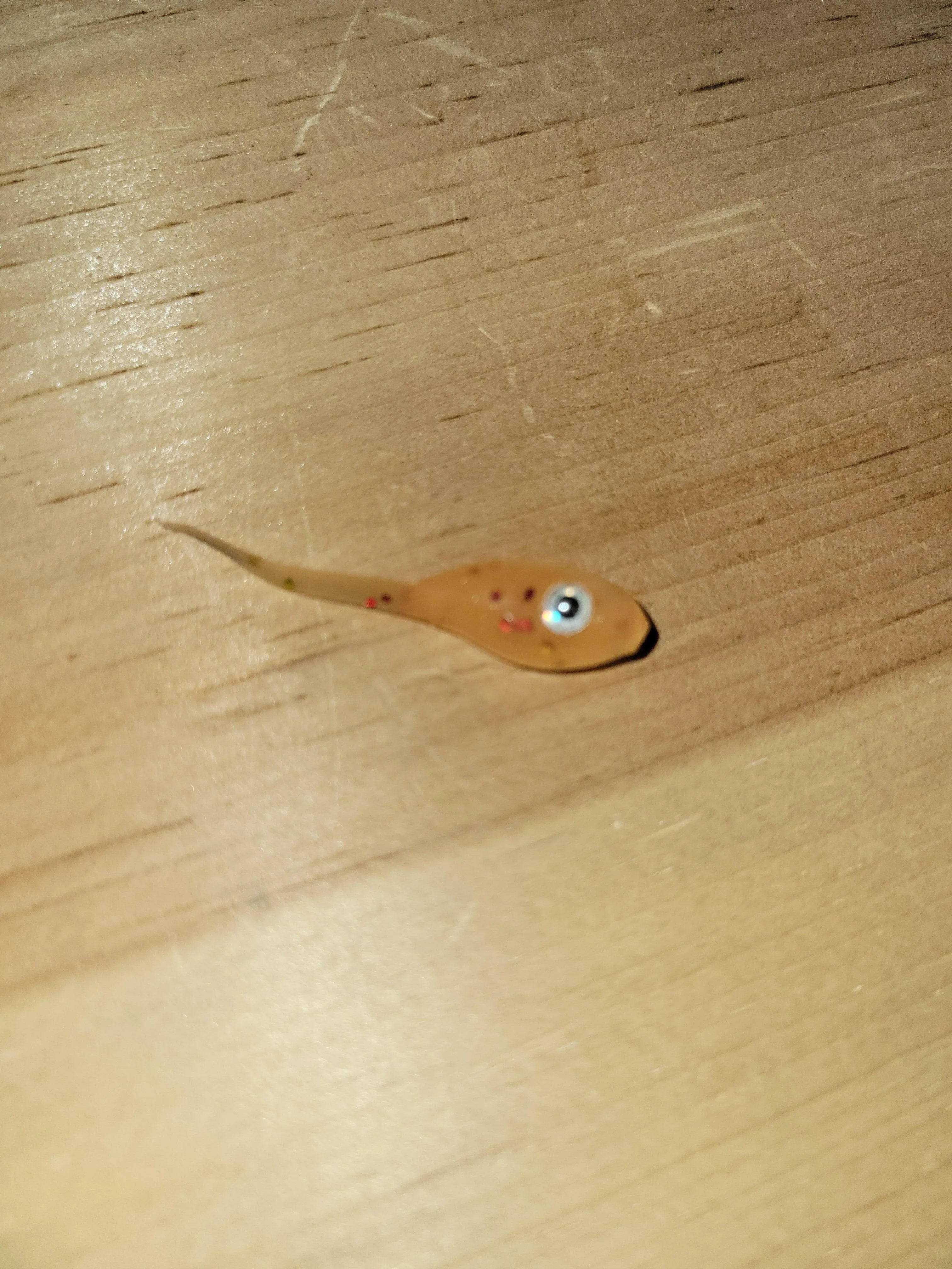 🍁Black Pine Mighty Minnows 2" Stony Tackle Shack Fishing Baits & Lures art-noise.myshopify.com black-pine-mighty-minnows-2-1 🍁Black Pine Mighty Minnows 2" Stony Tackle Shack Fishing Baits & Lures art-noise.myshopify.com black-pine-mighty-minnows-2-1