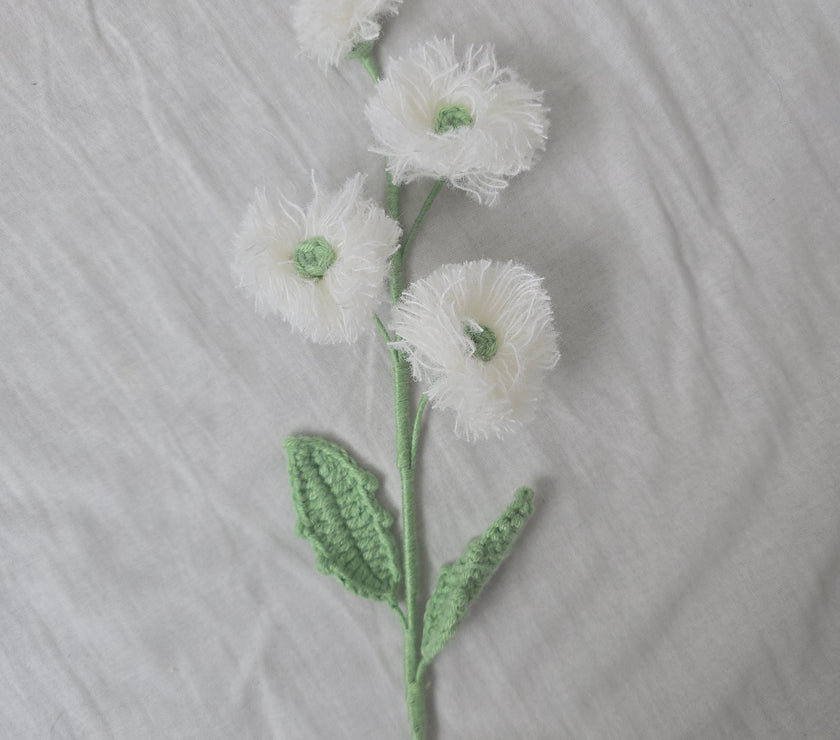 Puff Flower