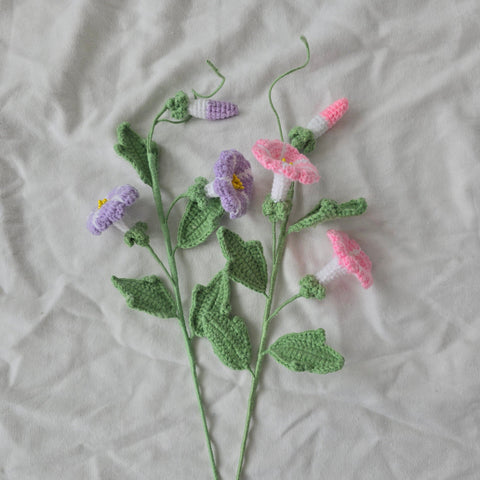 Morning Glory made with april product_type art-noise.myshopify.com morning-glory