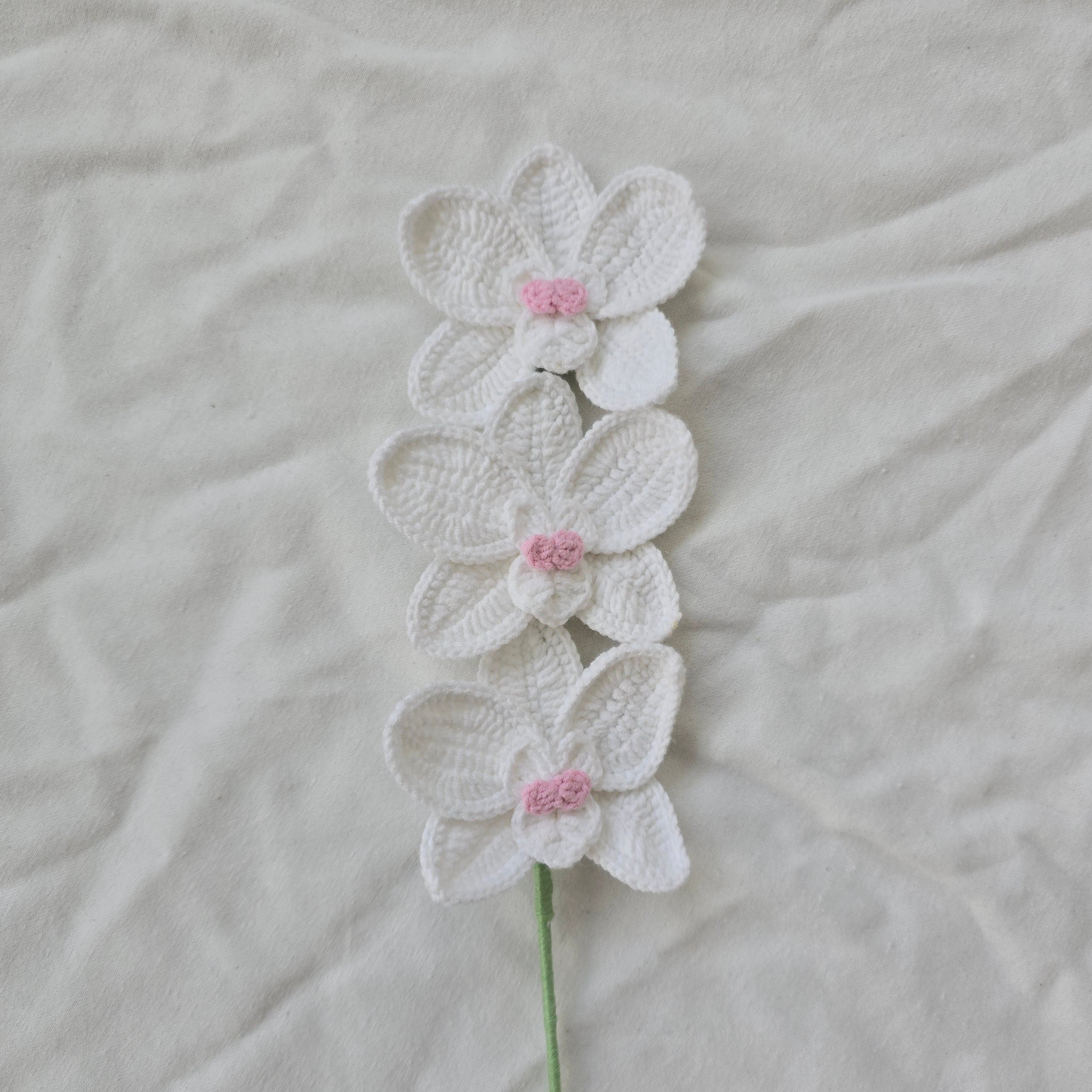 Orchids