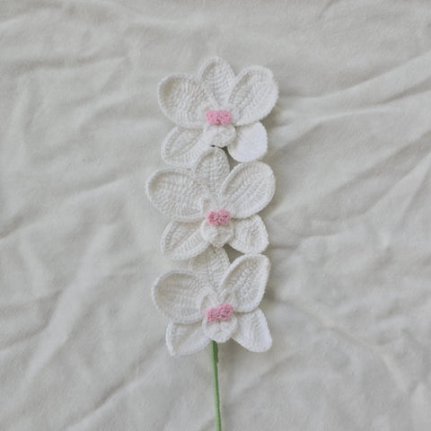 Orchids made with april product_type art-noise.myshopify.com orchids Orchids made with april  art-noise.myshopify.com orchids