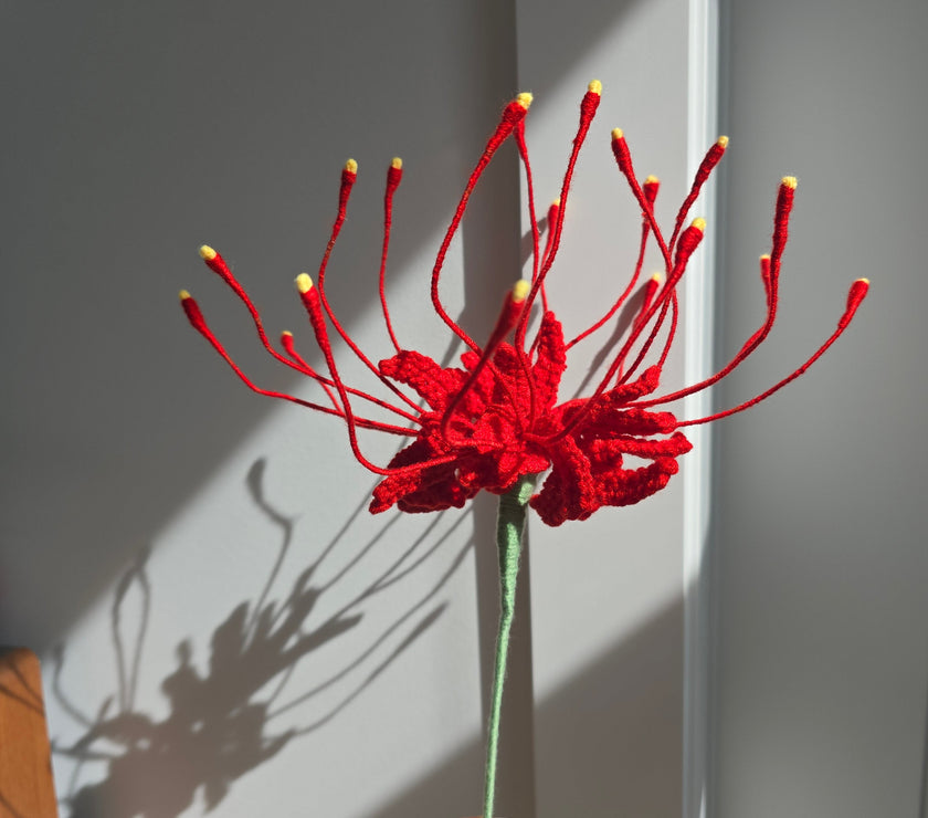 Spider Lily