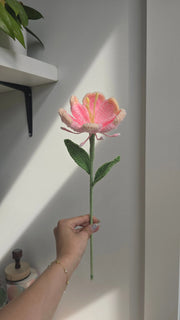 GI: Rainbow Rose made with april product_type art-noise.myshopify.com gi-rainbow-rose GI: Rainbow Rose made with april  art-noise.myshopify.com gi-rainbow-rose