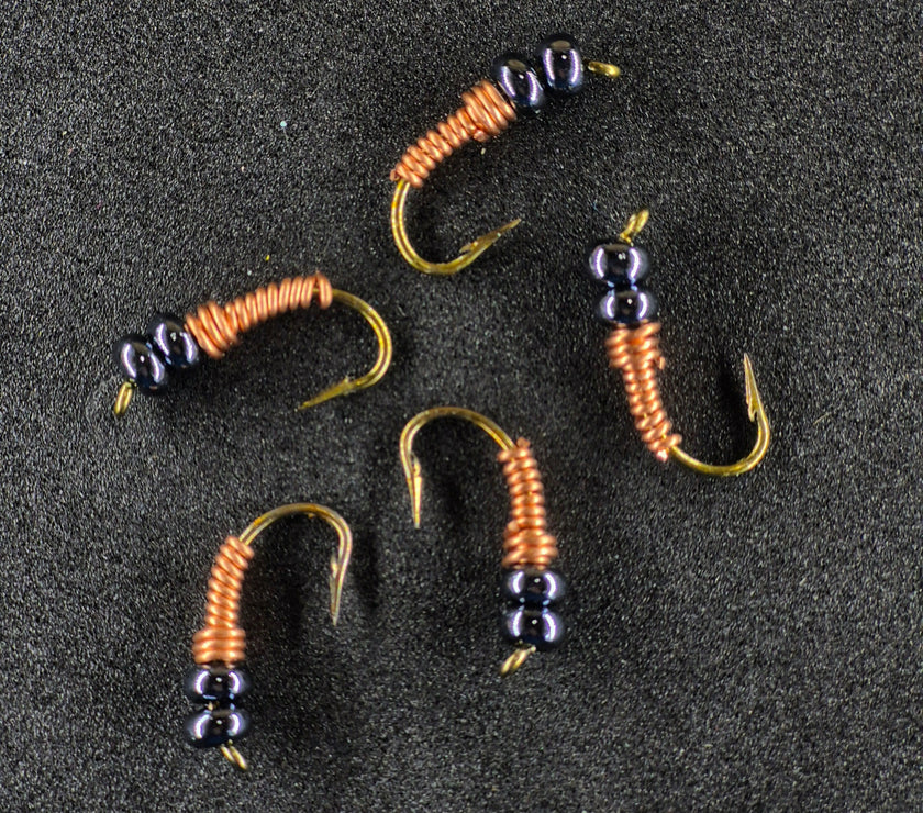 🍁Wire Worms