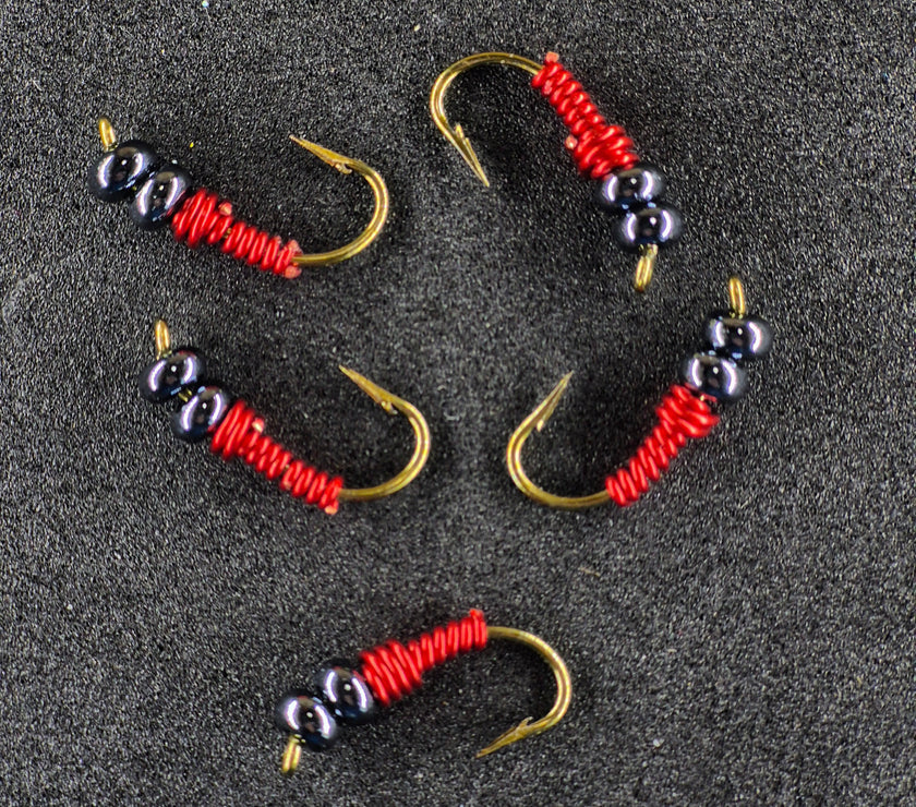 🍁Wire Worms
