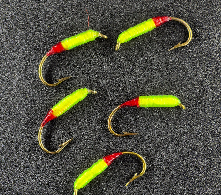 🍁Wire Worms