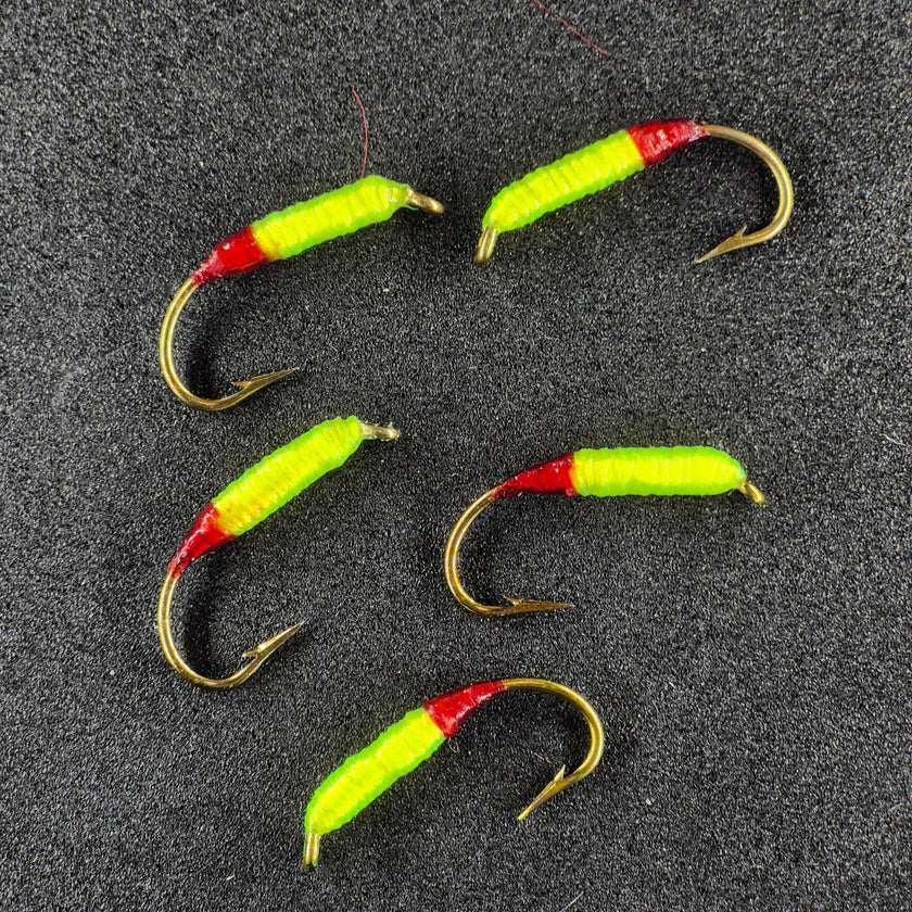 🍁Wire Worms