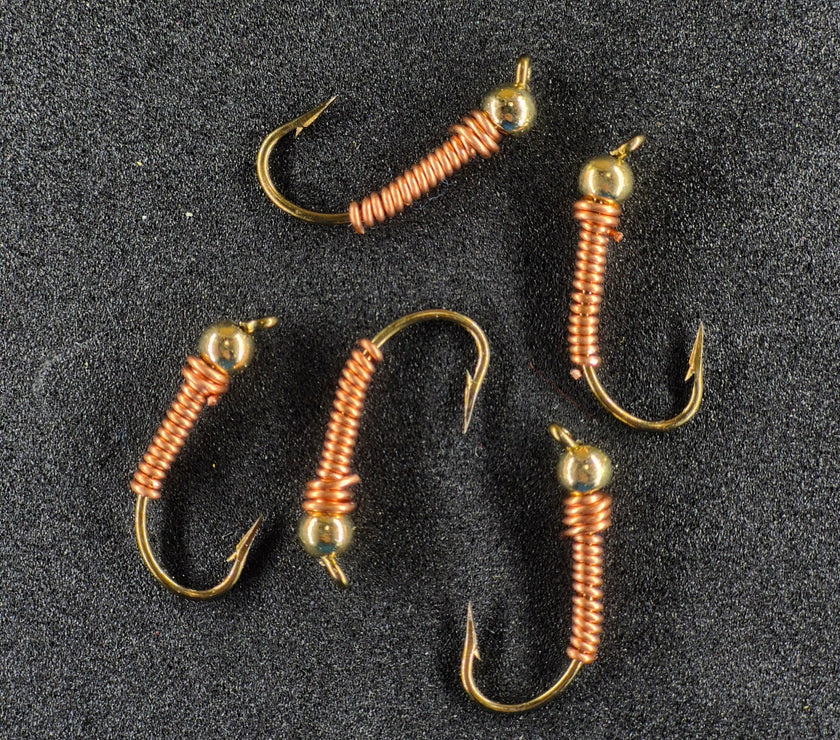 🍁Wire Worms