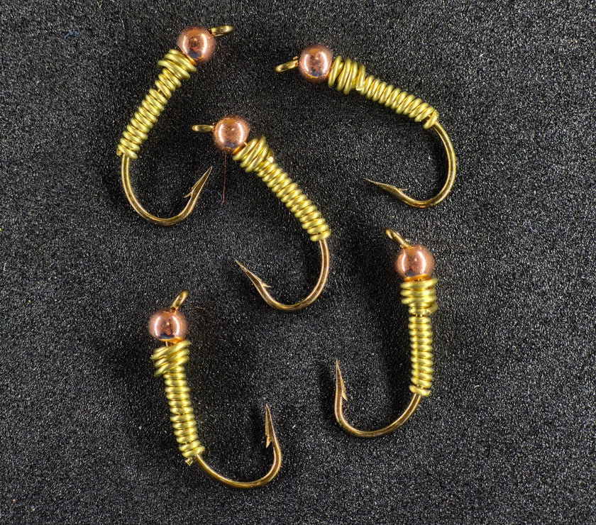 🍁Wire Worms