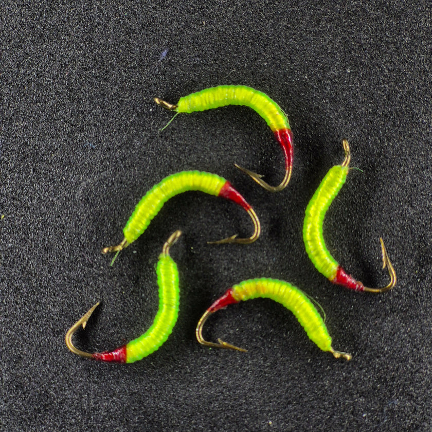 🍁Wire Worms