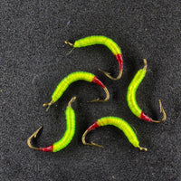 🍁Wire Worms