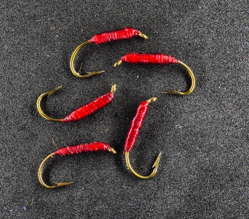 🍁Wire Worms