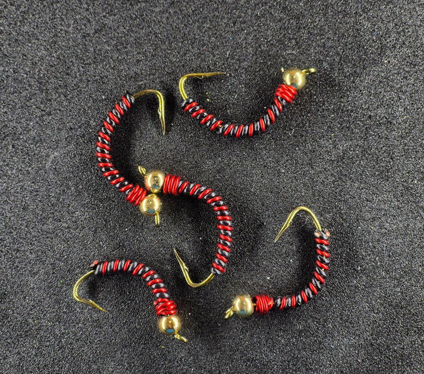 🍁Wire Worms