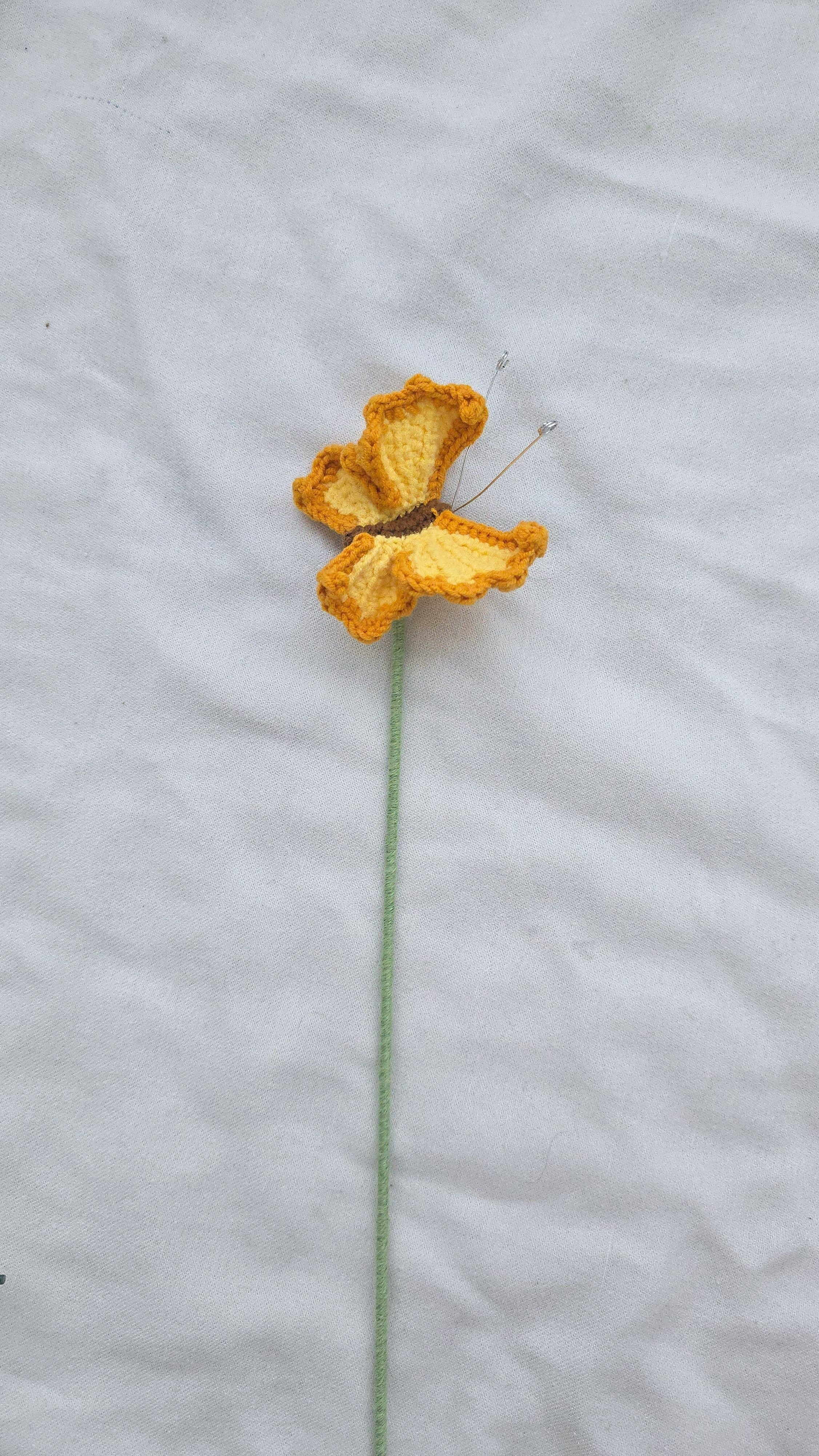 Buggies: Bees, Butterflies, and Dragonflies