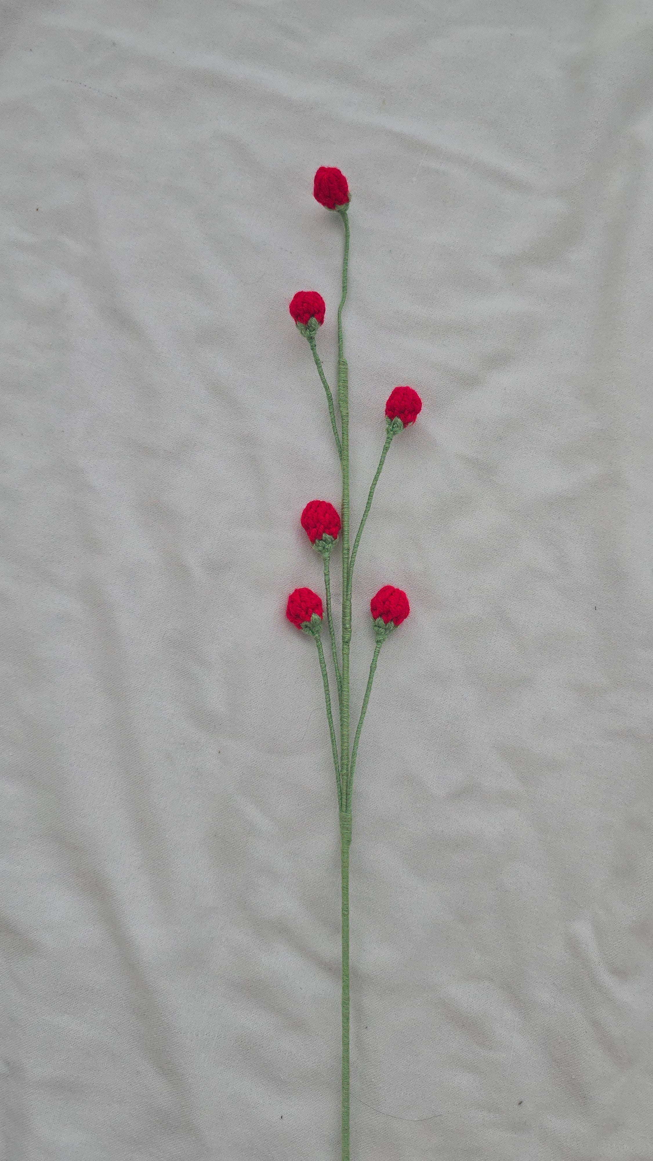 Buds and Berries
