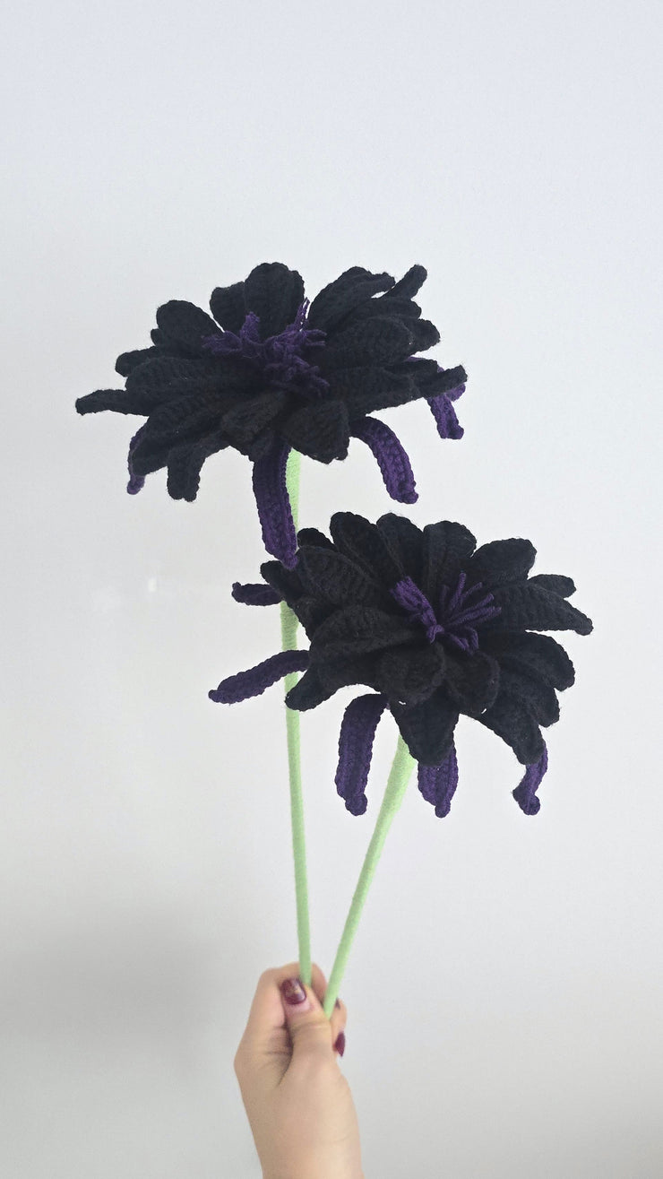 WoW/Magic: Black Lotus