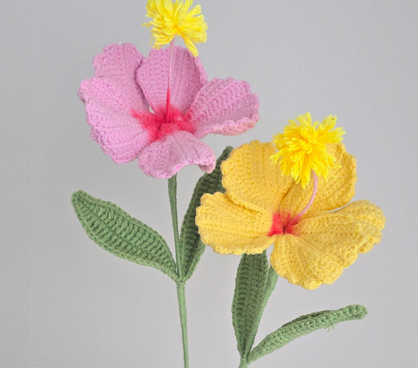 Hibiscus