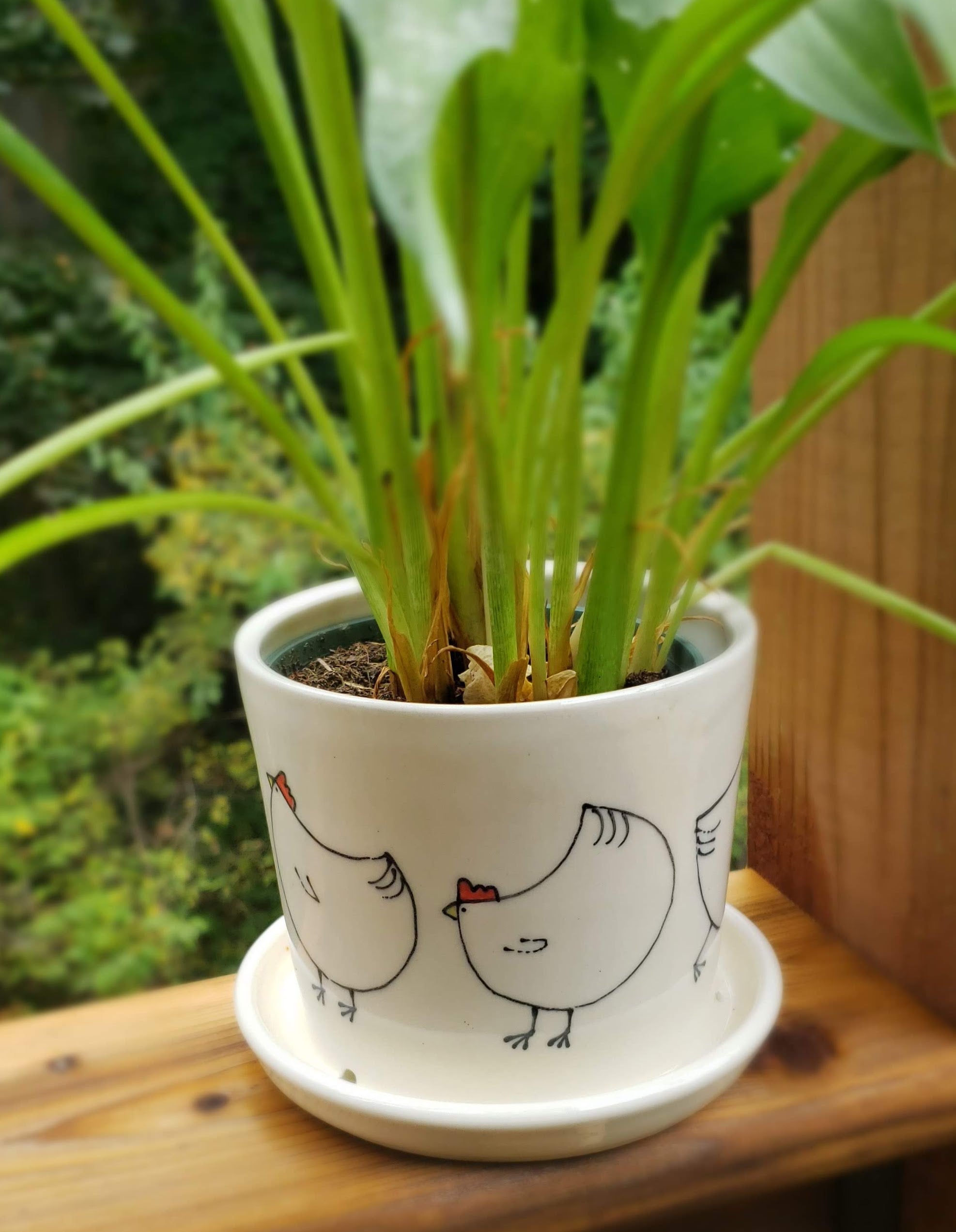 Goat Ridge Farm Chicken Planter