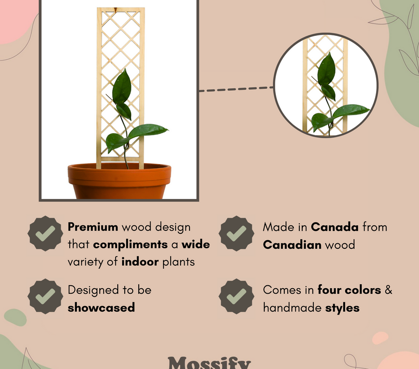 Cross-Hatch Wooden Trellis