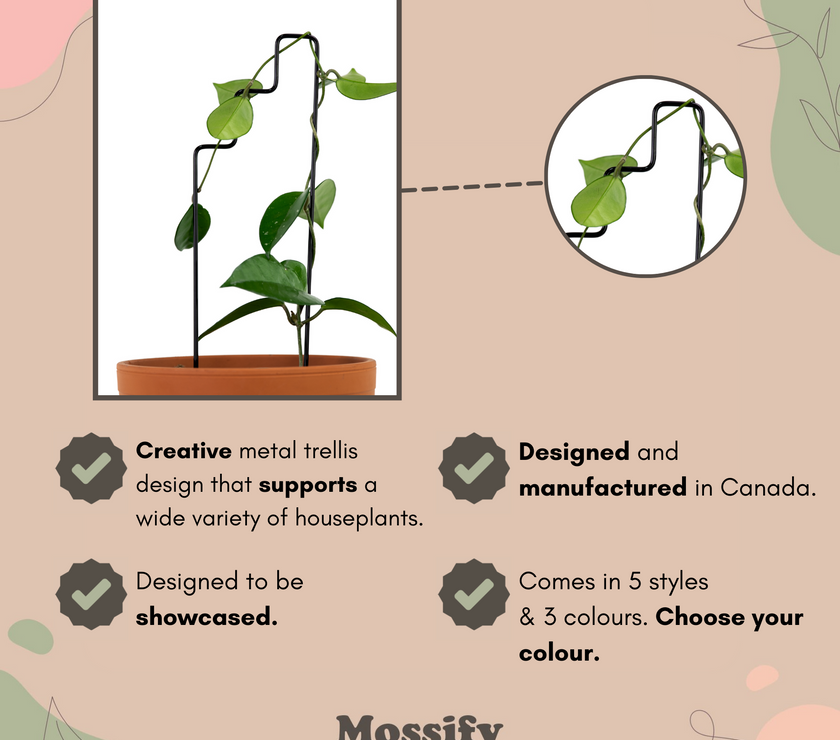 "Plant Stairs" Metal Trellis