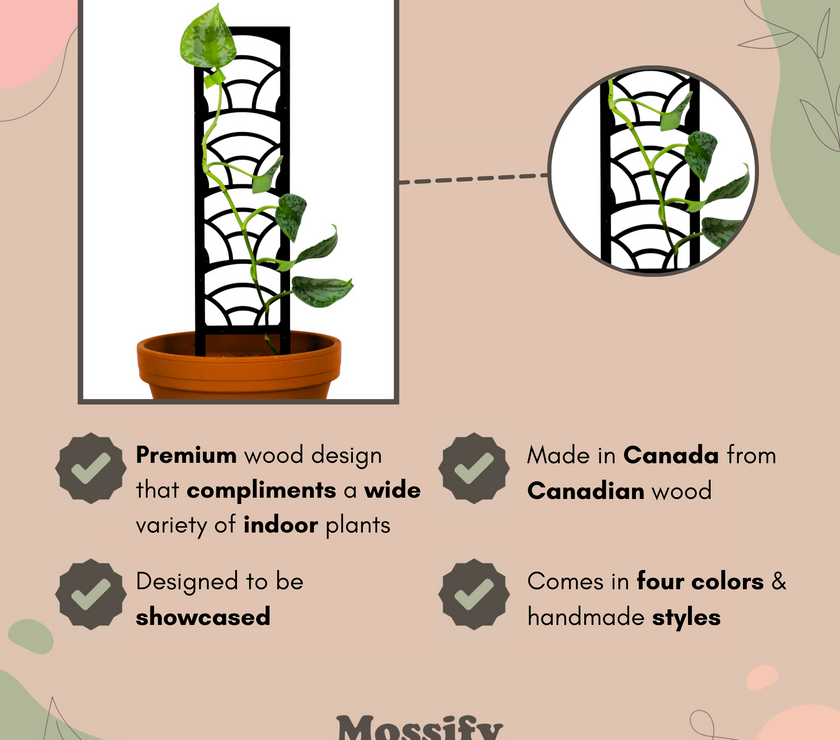 Rainbow Wooden Trellis