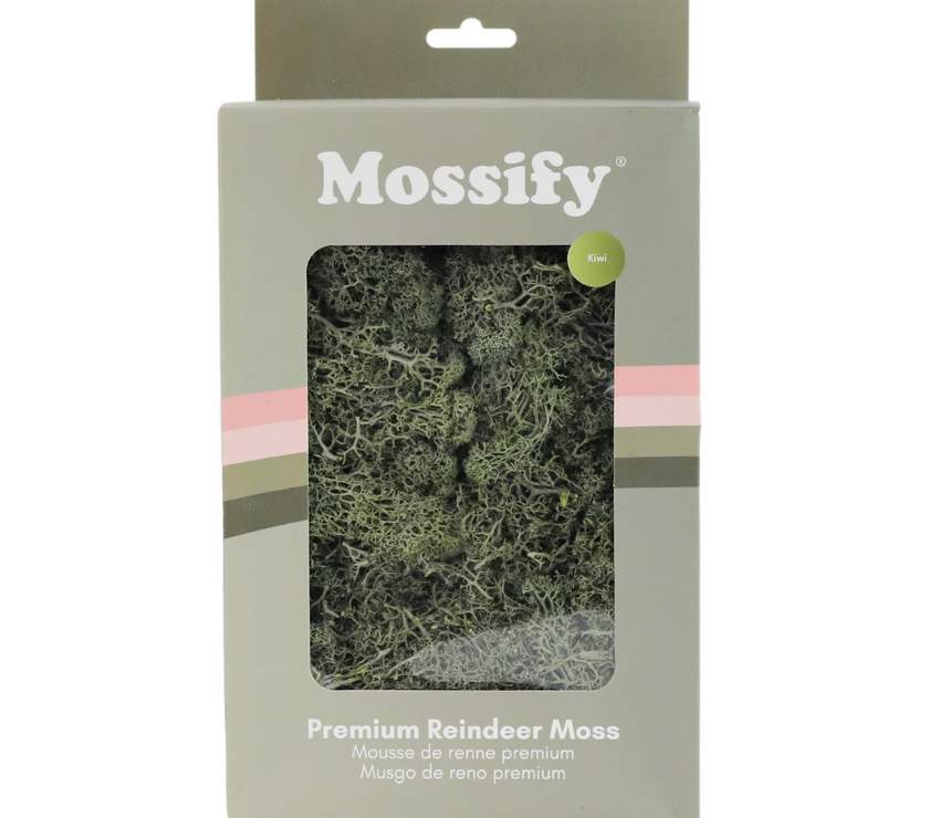Premium Preserved Reindeer Moss