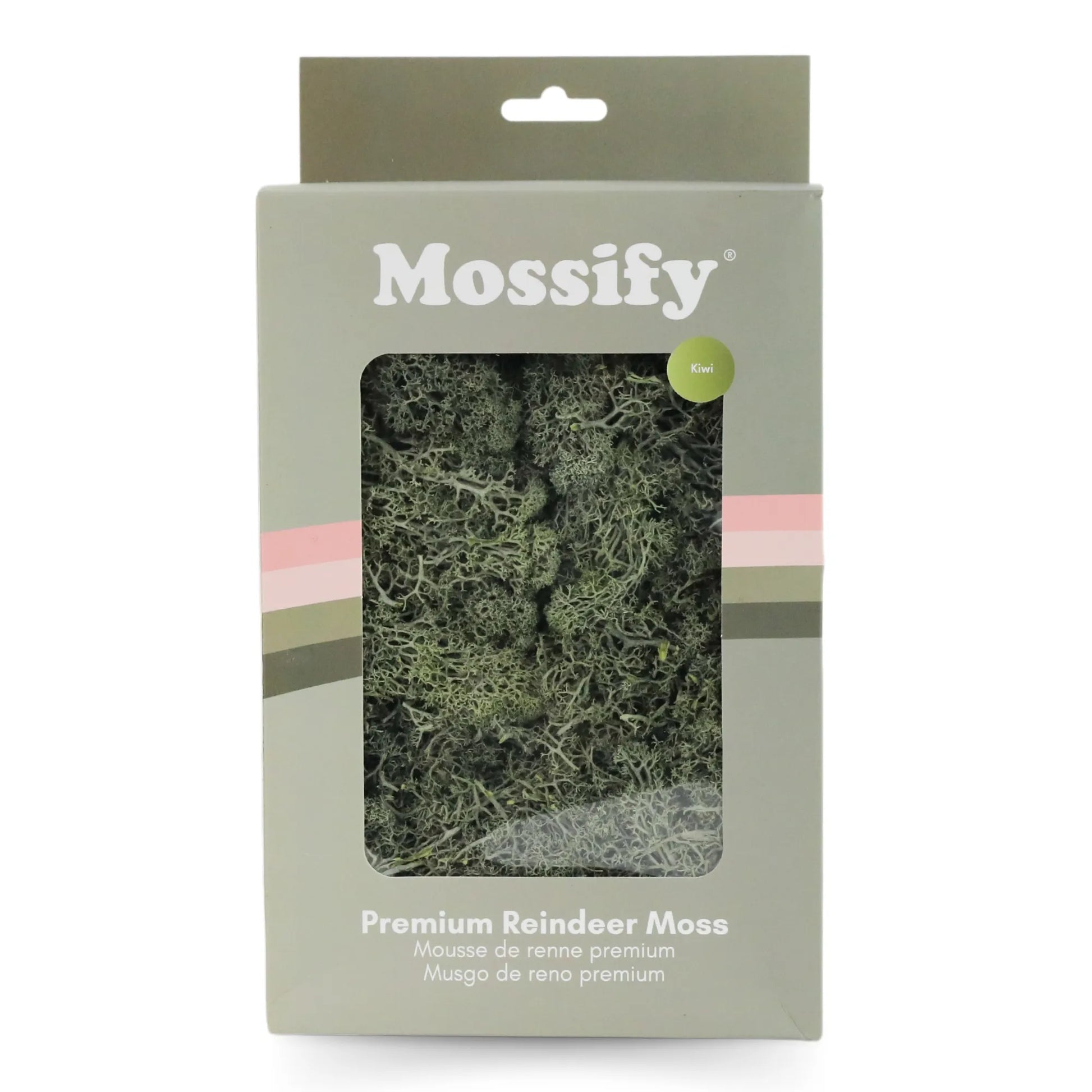 Premium Preserved Reindeer Moss Mossify product_type art-noise.myshopify.com premium-preserved-reindeer-moss Premium Preserved Reindeer Moss Mossify  art-noise.myshopify.com premium-preserved-reindeer-moss