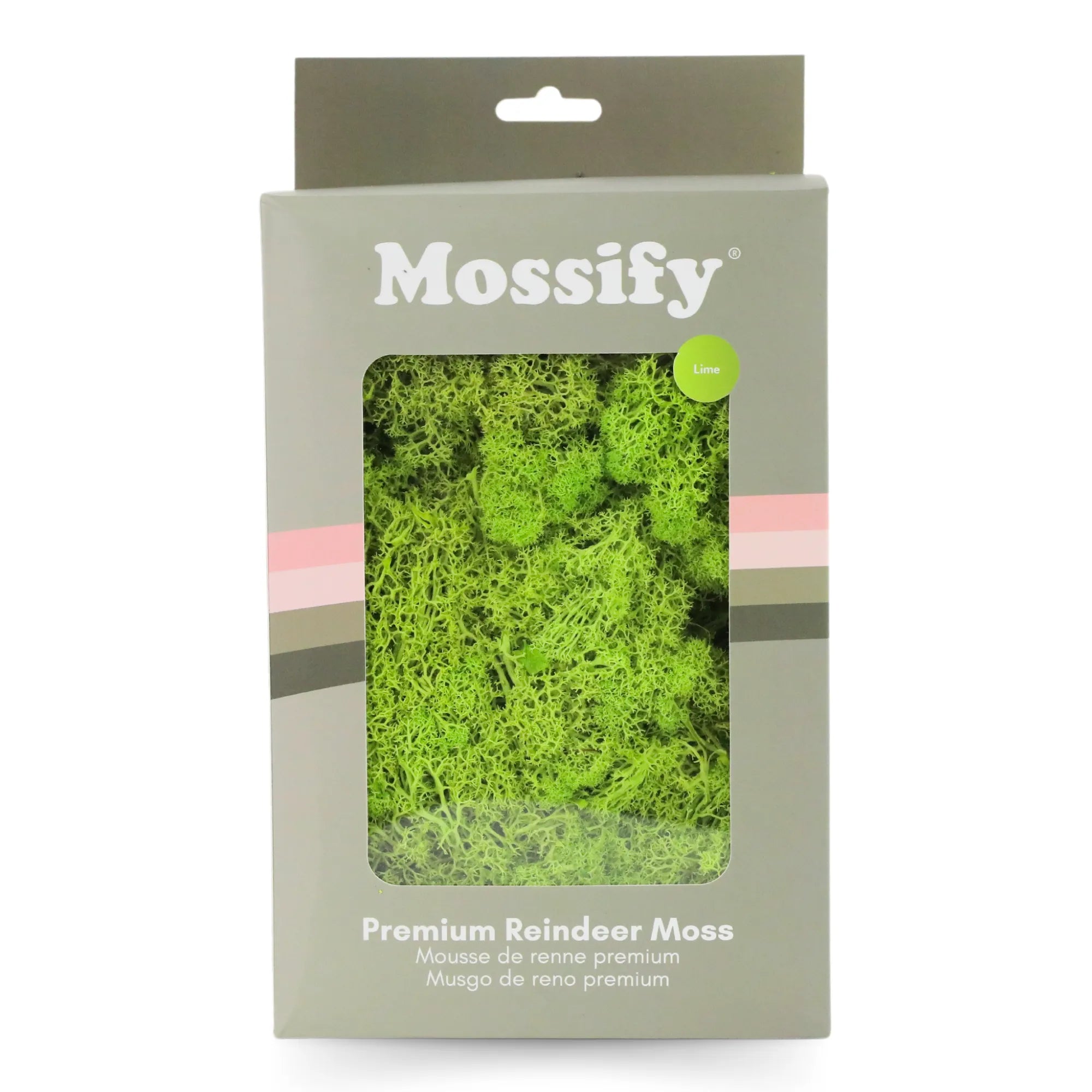 Premium Preserved Reindeer Moss Mossify product_type art-noise.myshopify.com premium-preserved-reindeer-moss Premium Preserved Reindeer Moss Mossify  art-noise.myshopify.com premium-preserved-reindeer-moss
