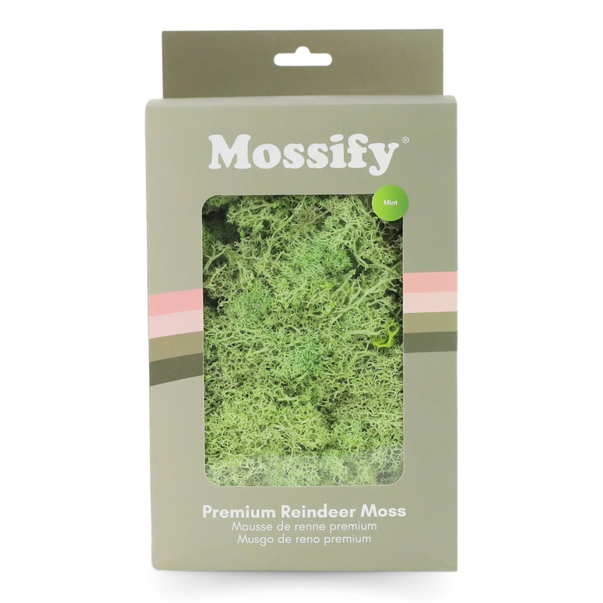 Premium Preserved Reindeer Moss Mossify product_type art-noise.myshopify.com premium-preserved-reindeer-moss Premium Preserved Reindeer Moss Mossify  art-noise.myshopify.com premium-preserved-reindeer-moss