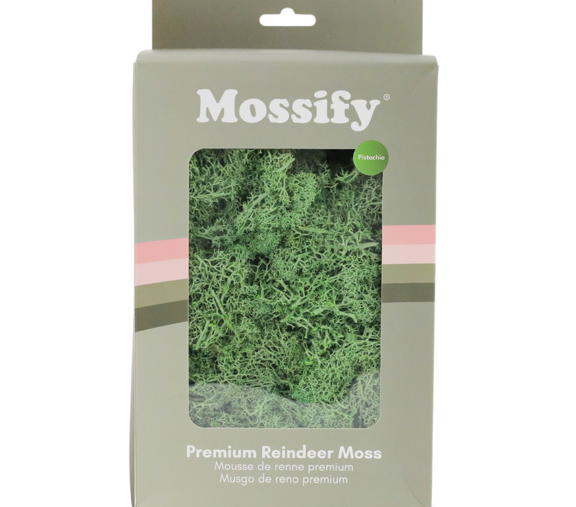 Premium Preserved Reindeer Moss