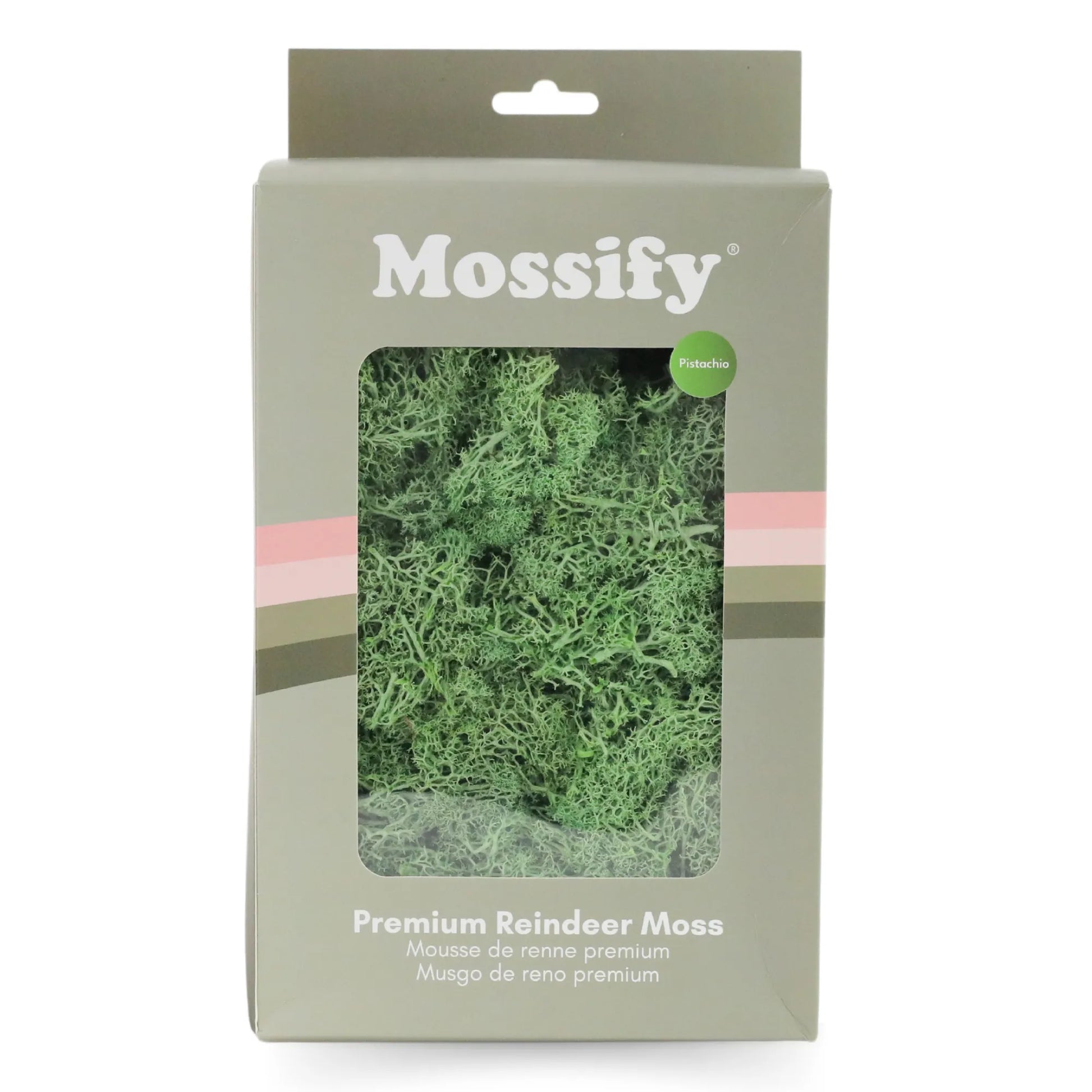 Premium Preserved Reindeer Moss Mossify product_type art-noise.myshopify.com premium-preserved-reindeer-moss Premium Preserved Reindeer Moss Mossify  art-noise.myshopify.com premium-preserved-reindeer-moss