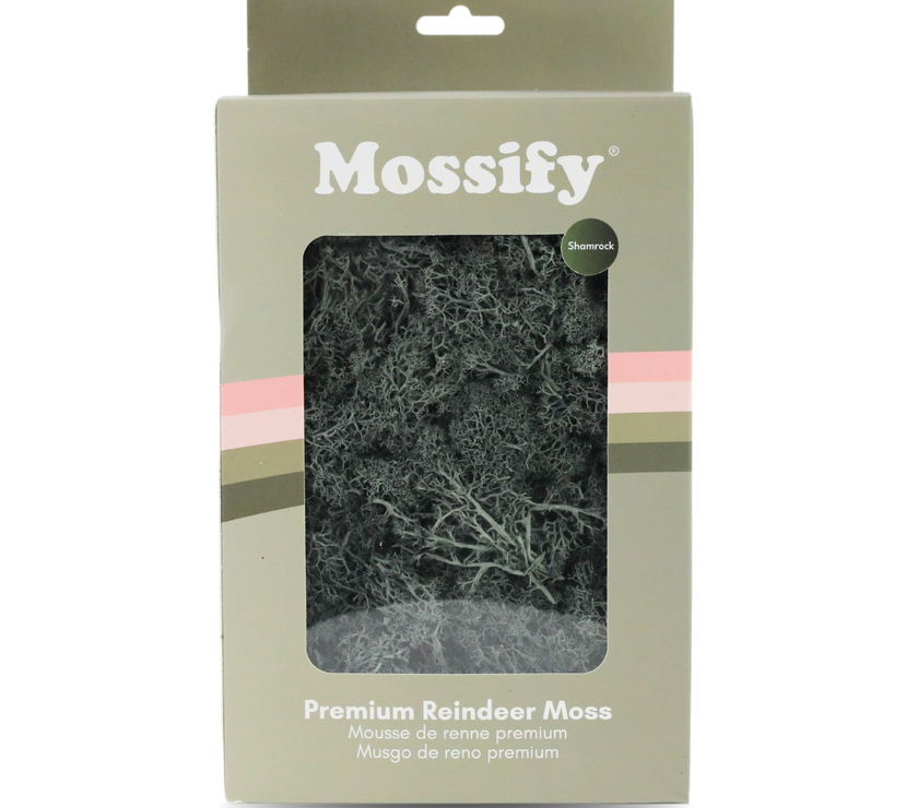 Premium Preserved Reindeer Moss