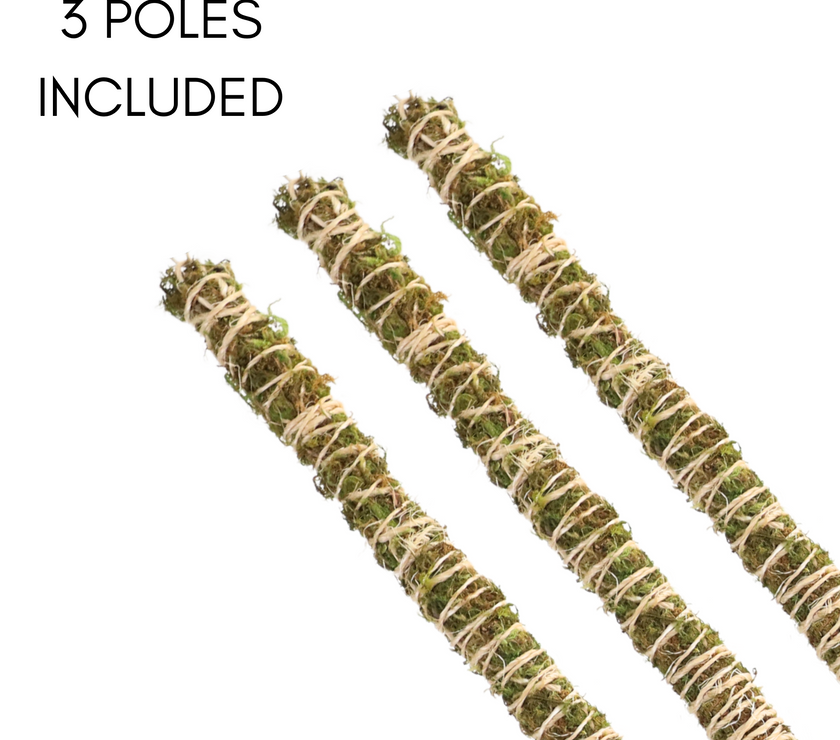 The Bendable Moss Pole™ 𝘛𝘏𝘐𝘕