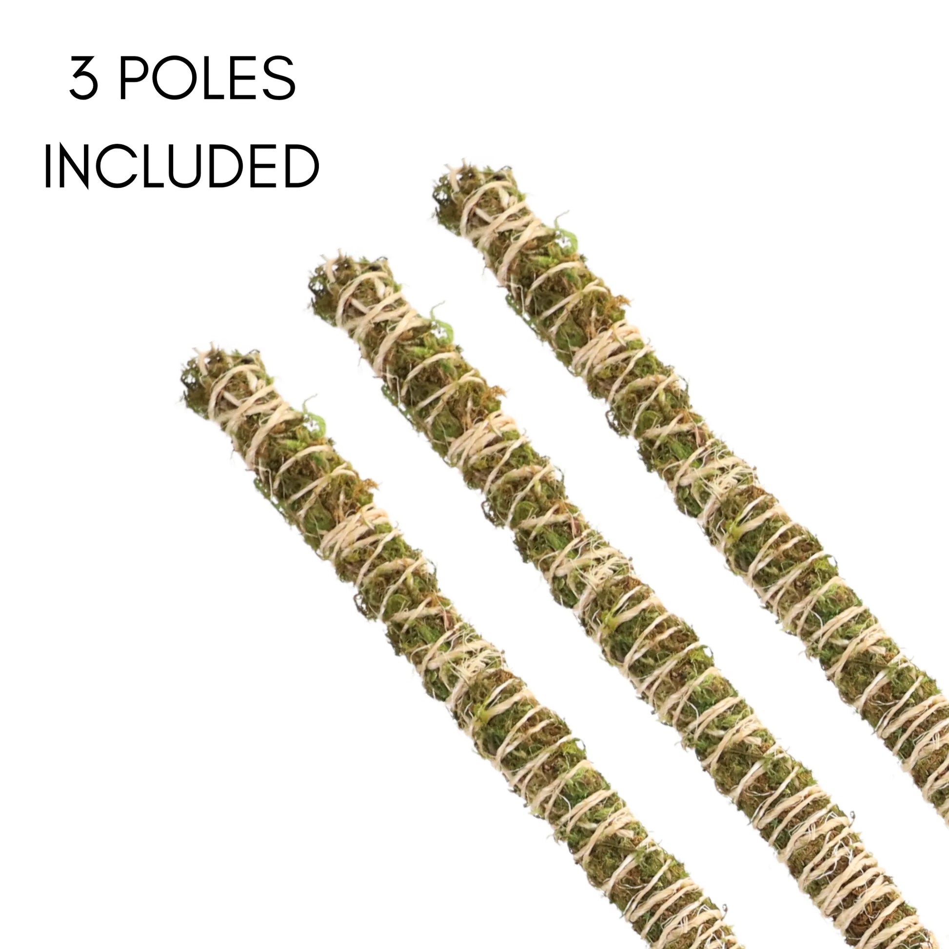 The Bendable Moss Pole™ 𝘛𝘏𝘐𝘕 Mossify Accessories art-noise.myshopify.com the-bendable-moss-pole™-𝘛𝘏𝘐𝘕 The Bendable Moss Pole™ 𝘛𝘏𝘐𝘕 Mossify Accessories art-noise.myshopify.com the-bendable-moss-pole™-𝘛𝘏𝘐𝘕