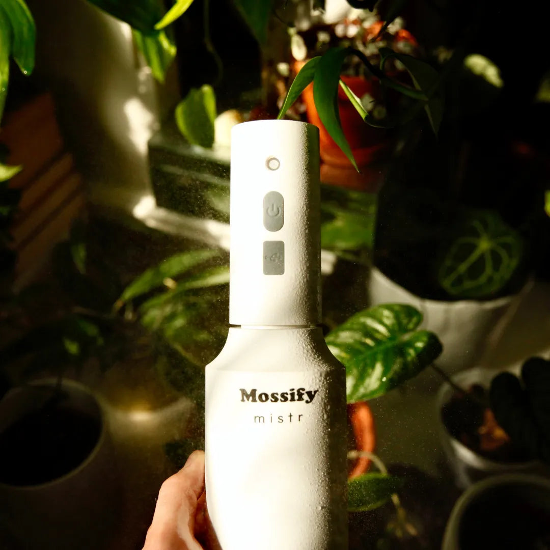 The Original Mossify mistr™ Mossify automatic water mister art-noise.myshopify.com the-original-mossify-mistr™ The Original Mossify mistr™ Mossify automatic water mister art-noise.myshopify.com the-original-mossify-mistr™