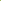 Mood Moss - Revita-Moss (Dicranum)