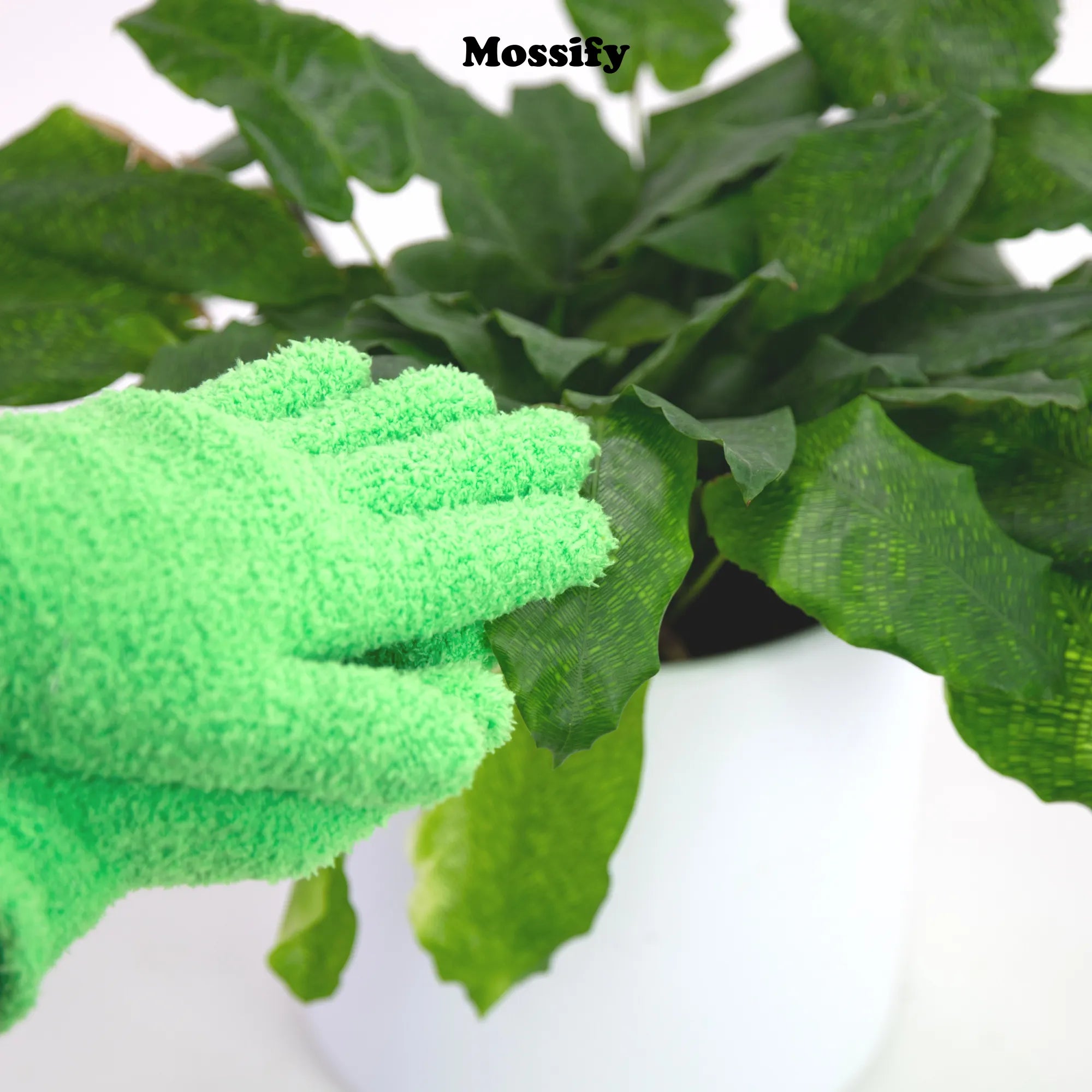 1 Pair Leaf Shining Microfiber Gloves Mossify Accessories art-noise.myshopify.com 1-pair-leaf-shining-microfiber-gloves 1 Pair Leaf Shining Microfiber Gloves Mossify Accessories art-noise.myshopify.com 1-pair-leaf-shining-microfiber-gloves