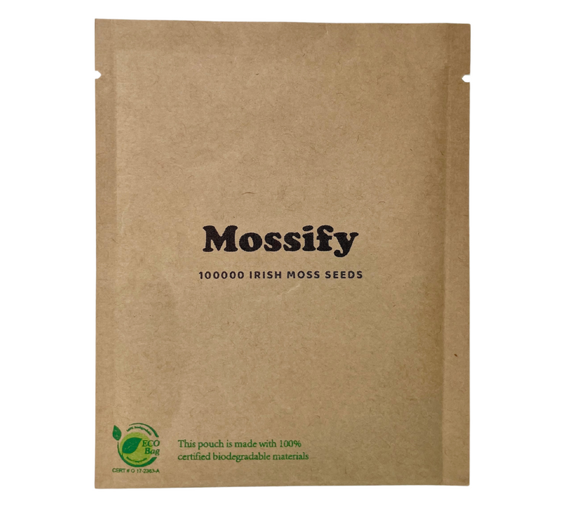 Premium Irish Moss Seeds - Sagina Subulata Seeds