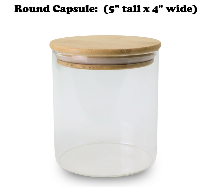 Mossify Terrarium Kit