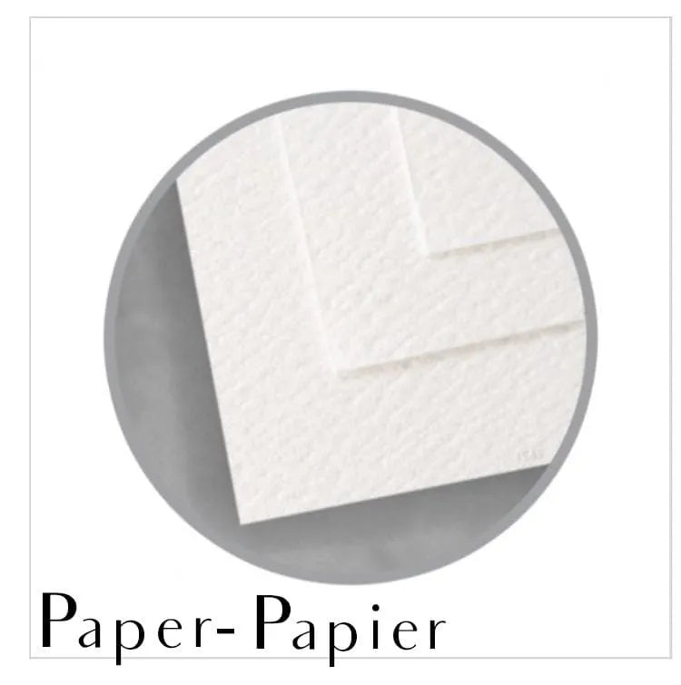  3 Brown Bear Cubs Illustration - "Social Animal" Collection LE NID atelier illustration art-noise.myshopify.com 3-brown-bear-cubs-illustration-social-animal-collection