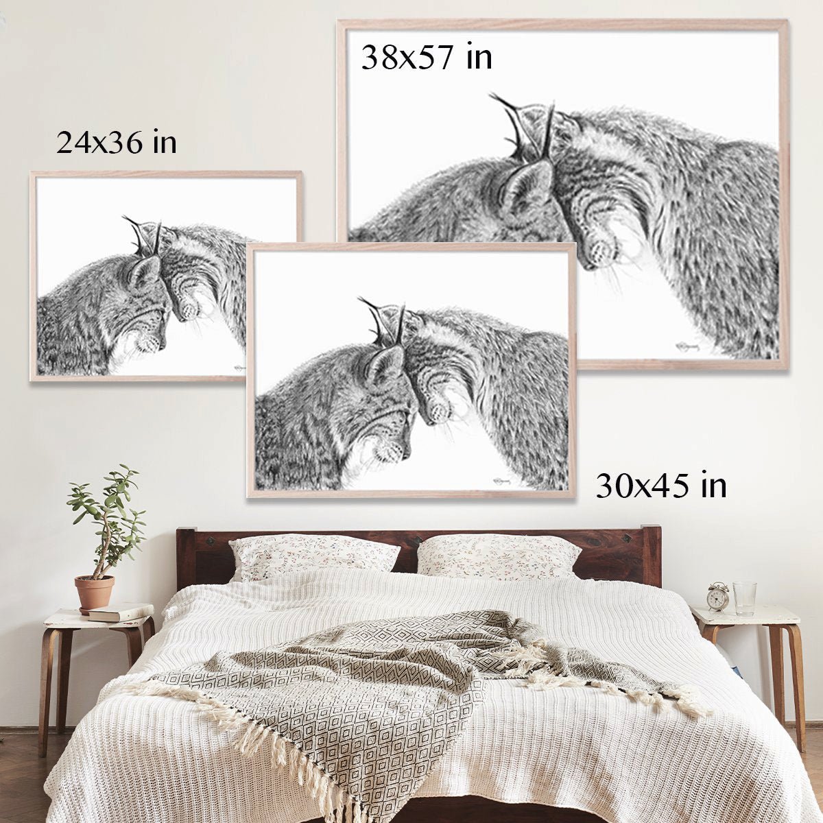 3 Brown Bear Cubs Illustration - "Social Animal" Collection
