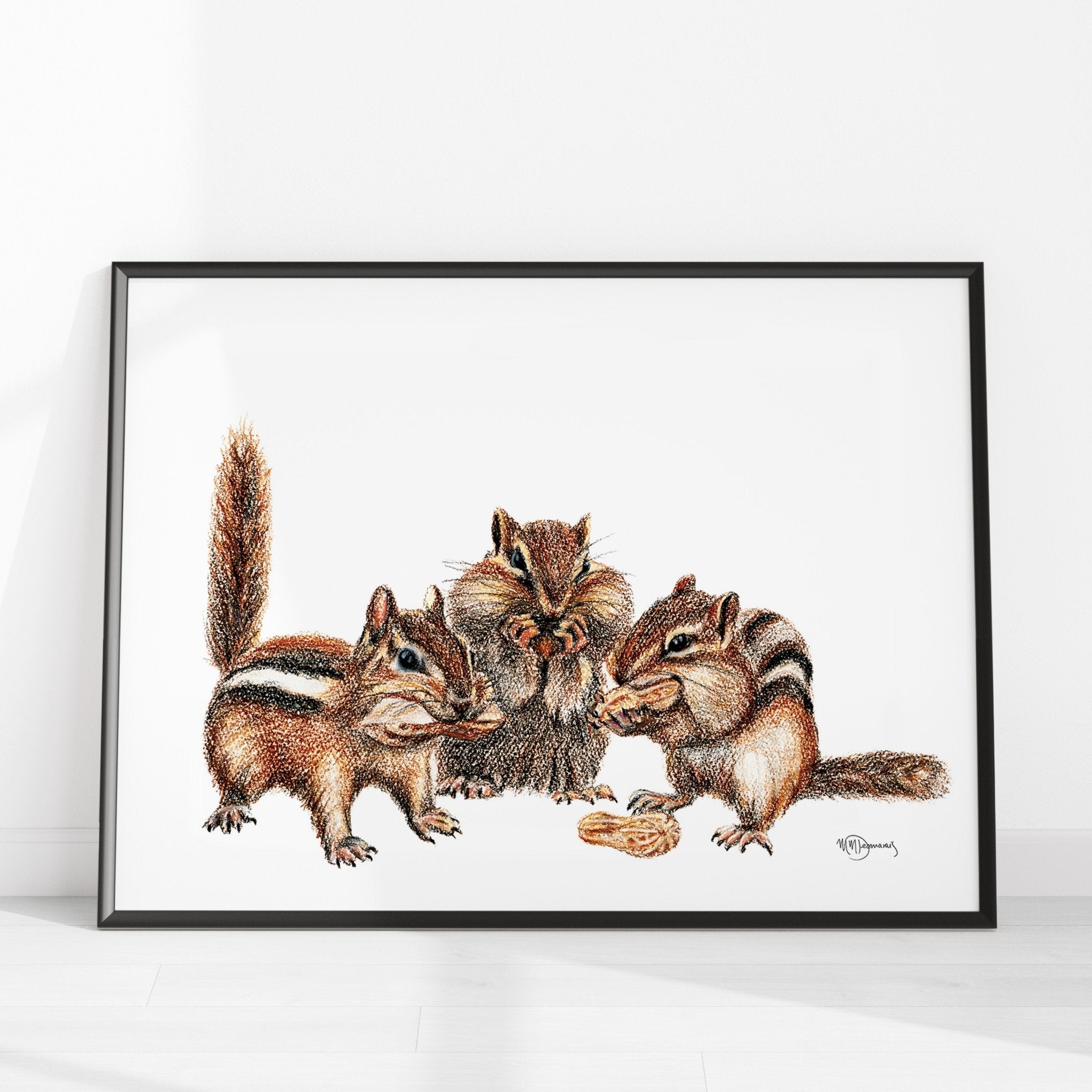 3 Chipmunks -  Colored Illustration