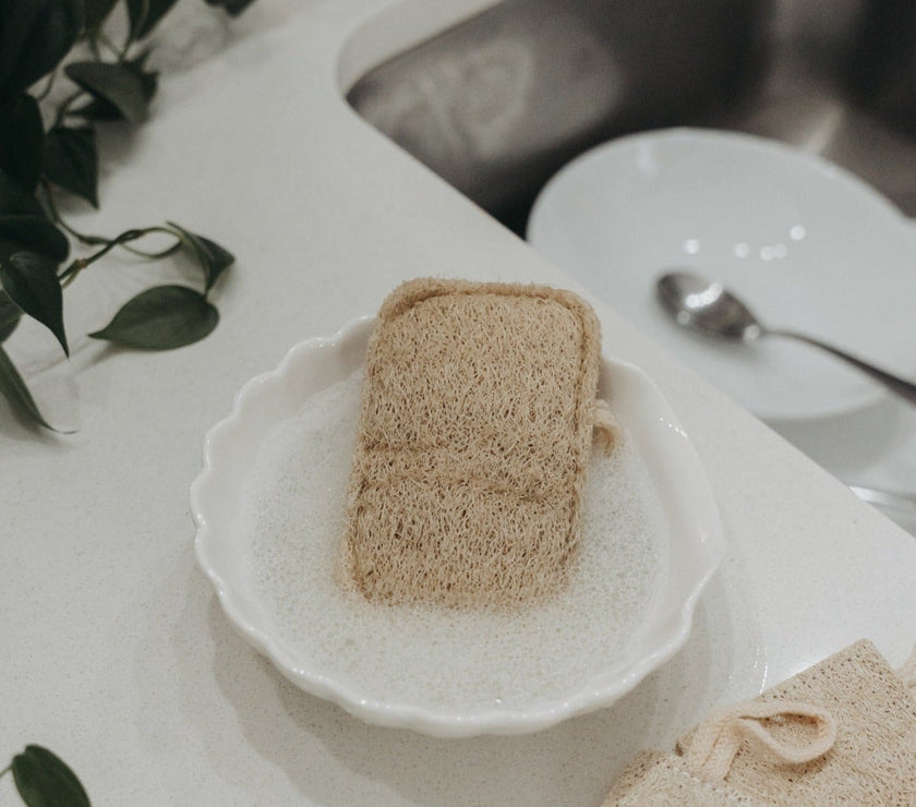 3 Pack Natural Loofah Sponge