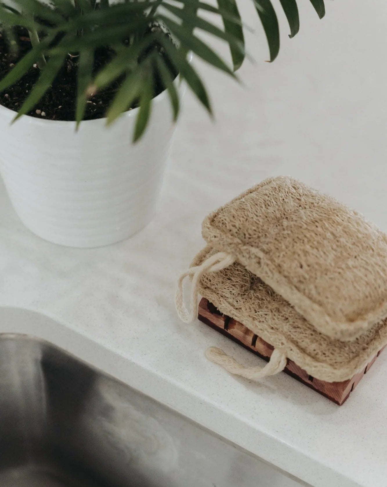 3 Pack Natural Loofah Sponge Zero Waste MVMT Bath Sponges & Loofahs art-noise.myshopify.com 3-pack-natural-loofah-sponge 3 Pack Natural Loofah Sponge Zero Waste MVMT Bath Sponges & Loofahs art-noise.myshopify.com 3-pack-natural-loofah-sponge