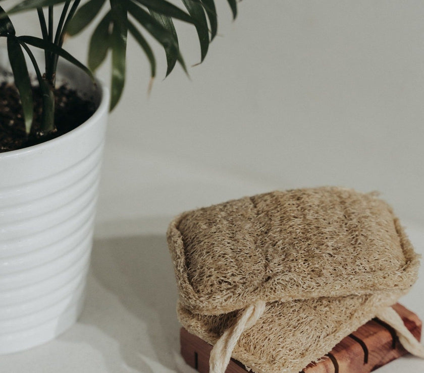 3 Pack Natural Loofah Sponge