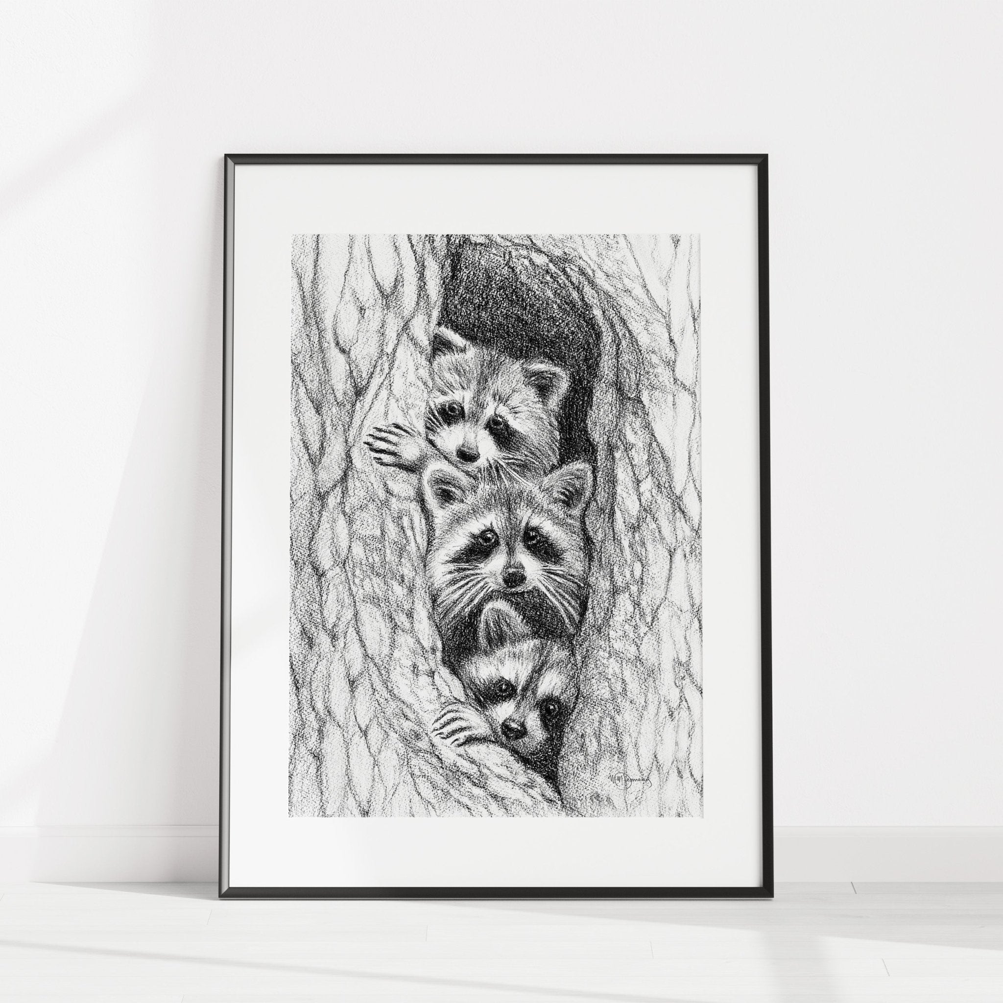 3 Raccoons in a tree