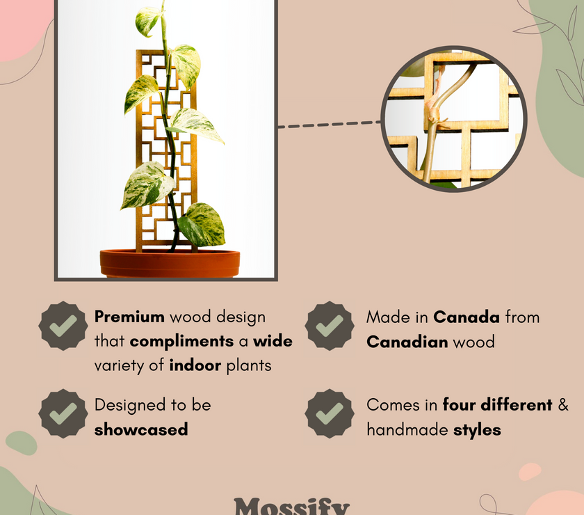 Tropical Squares Wooden Trellis