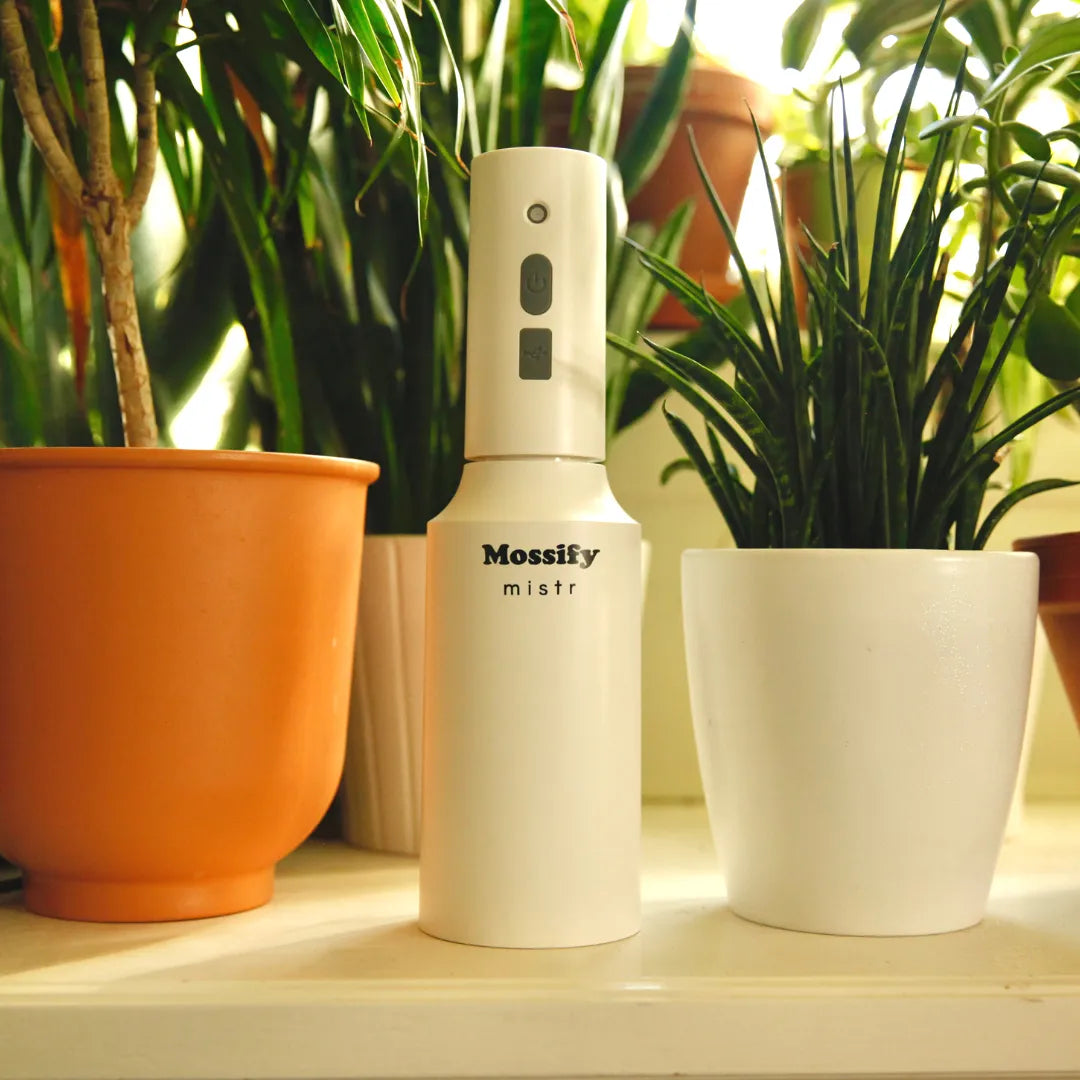 The Original Mossify mistr™ Mossify automatic water mister art-noise.myshopify.com the-original-mossify-mistr™ The Original Mossify mistr™ Mossify automatic water mister art-noise.myshopify.com the-original-mossify-mistr™