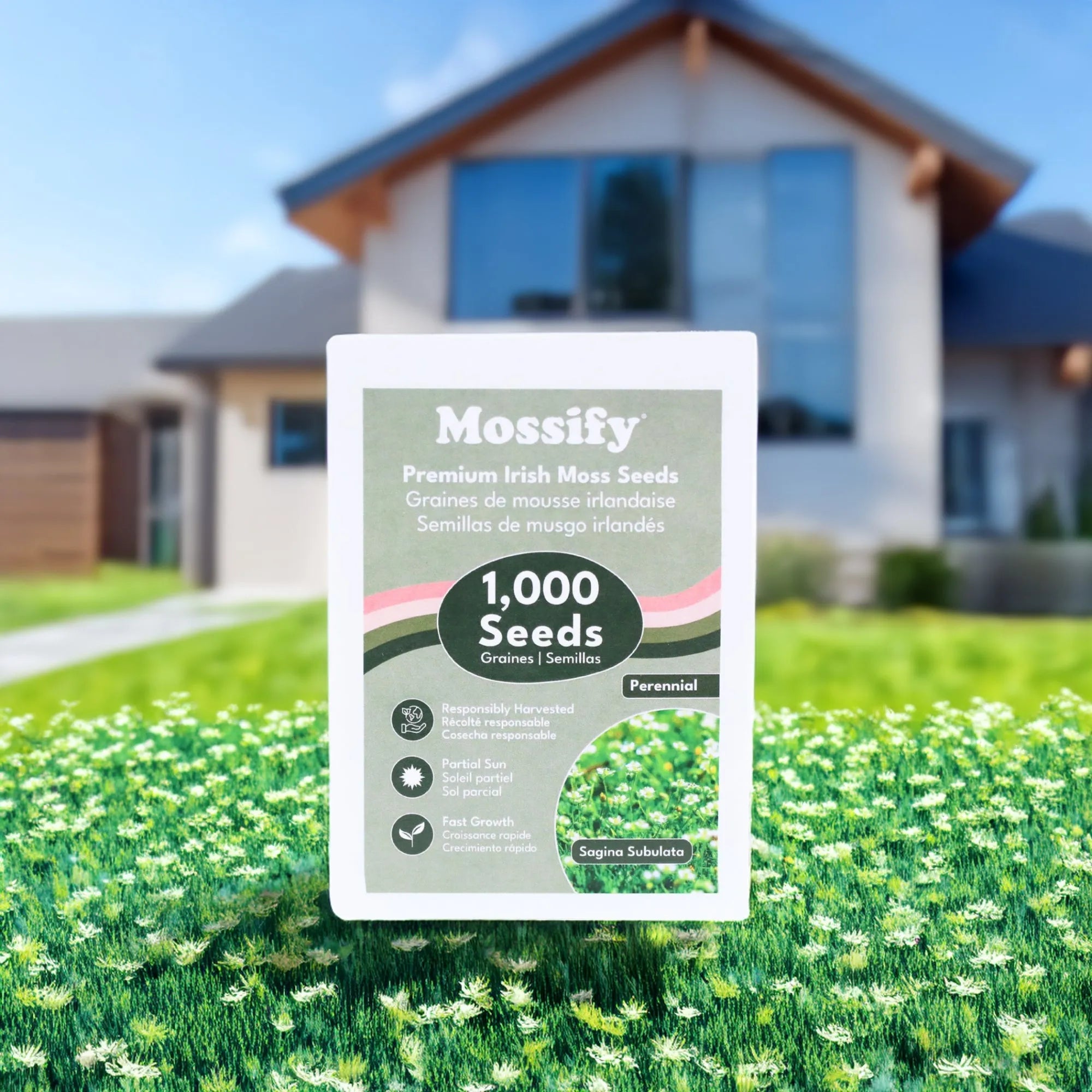 Premium Irish Moss Seeds - Sagina Subulata Seeds Mossify product_type art-noise.myshopify.com premium-irish-moss-seeds-sagina-subulata-seeds Premium Irish Moss Seeds - Sagina Subulata Seeds Mossify  art-noise.myshopify.com premium-irish-moss-seeds-sagina-subulata-seeds