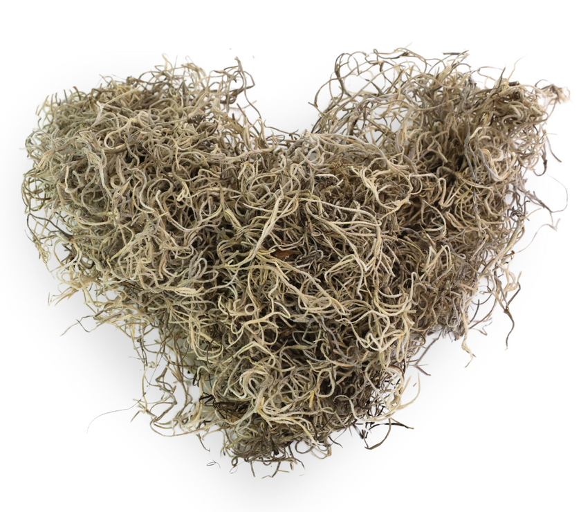 Premium Spanish Moss